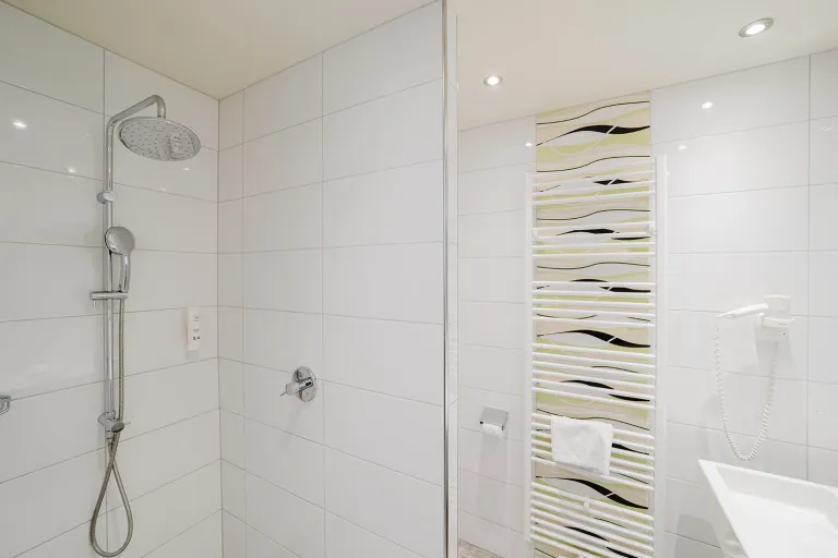 Shower with glass wall and mosaic strip at Motel Baden
