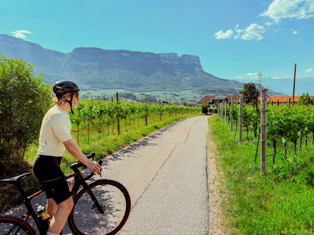 Radfahrer macht Pause auf einem Radweg zwischen Weingärten