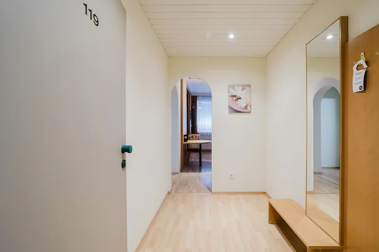 Entryway with coat rack and mirror, view into the room at Motel Baden